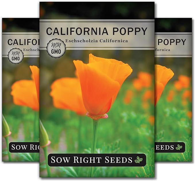 Sow Right Seeds - California Poppy Seeds for Planting - Non-GMO Heirloom Seed Packet with Instructions to Grow a Beautiful Flower Garden - Papery Orange Blooms for Outdoors - Self Sowing Perennial (3)