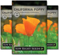Sow Right Seeds - California Poppy Seeds for Planting - Non-GMO Heirloom Seed Packet with Instructions to Grow a Beautiful Flower Garden - Papery Orange Blooms for Outdoors - Self Sowing Perennial (3)