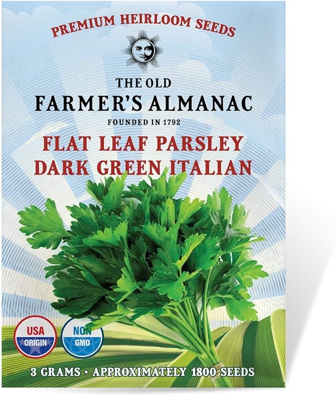 The Old Farmer's Almanac Heirloom Parsley Seeds (Dark Green Italian Flat Leaf) - Approx 1500 Seeds - Non-GMO, Open Pollinated, USA Origin