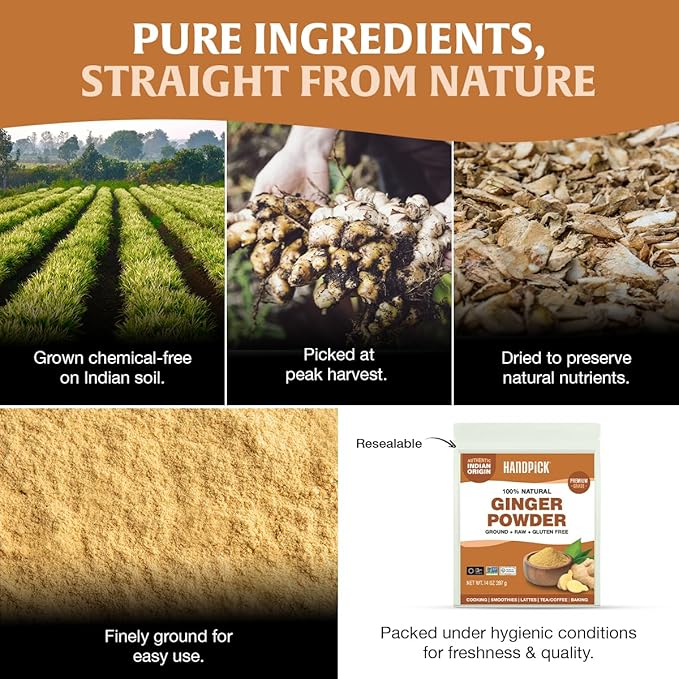 HANDPICK Ginger Powder (14oz/397g) No Additives, No Preservatives, No Fillers | Ginger Root Powder from India | Raw, Gluten Free, Non GMO | Perfect for Cooking, Baking | Resealable Zip Lock Pouch