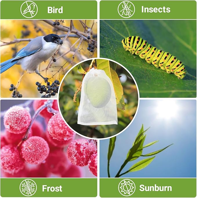 Fruit Bags for Fruit Trees, 100 PCS 6x10 Inch Fruit Protection Bags with Drawstring, Garden Netting Mesh Fruit Cover Bag for Grape, Tomato, Peach, Apple, Flower from Birds Bugs