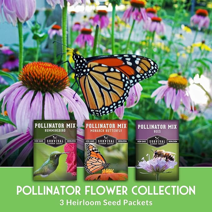 Heirloom Pollinator Flower Seeds 3 Pack for Planting - Attract Butterflies, Bees, Hummingbirds - Nectar & Pollen Rich Perennial & Annual Wildflowers for Pollinators - Survival Garden Seeds