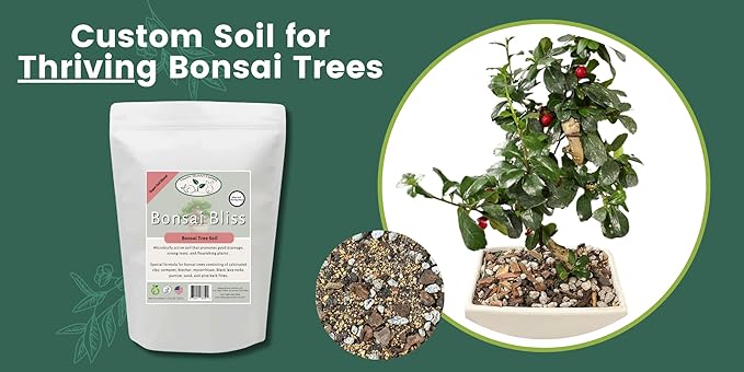 Bonsai Tree Potting Mix, Organic. 2qt Bag (3.5lbs) with Biochar, Mycorrhizae, Lava Rocks, Pumice, Pine Bark, Wood Compost, and Other Essential Nutrients.