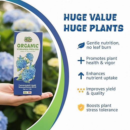 Organic Hydrangea Fertilizer - Gentle Liquid Seaweed Plant Food, Nutrient Boost for Acid-Loving Plants Root Growth, Soil Health, Vibrant Blooms & Foliage, Made from Maine Kelp, 2oz Makes 12 Gallons
