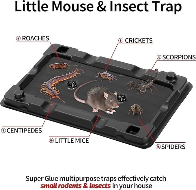 LULUCATCH Mouse & Insect Traps 36 Pack, Heavier Sticky Traps with Non-Toxic Glue for Small Mice & Insects. Sticky Mouse Traps Indoor, Easy to Set, Pet Safe Pest Control