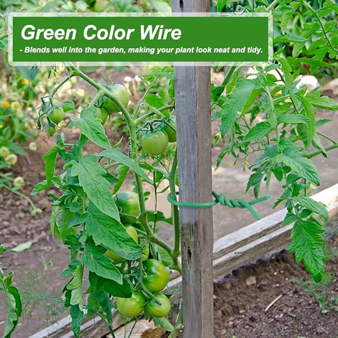 Shintop Plant Ties, 164ft Soft Green Garden Wire Flexible Tomato Ties for Outdoor Climbing Plants, Flowers, Vines Plant Support (3.5mm)