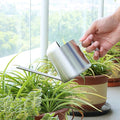 Watering Cans, 10oz/300ml Stainless Steel Long Spout Small Watering Sprinkling Pot, Indoor Outdoor Garden Flower Succulents Plant Watering Cans, Stylish Gardening Decoration(Silver)