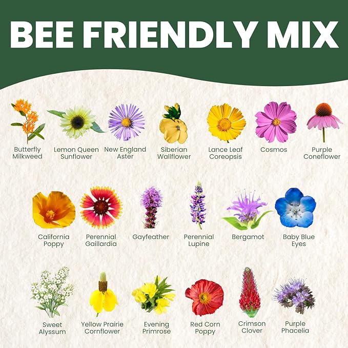 Bee Friendly Mix – 1,400 Seeds for Planting – 2026 Season – 5 Gram Pouch