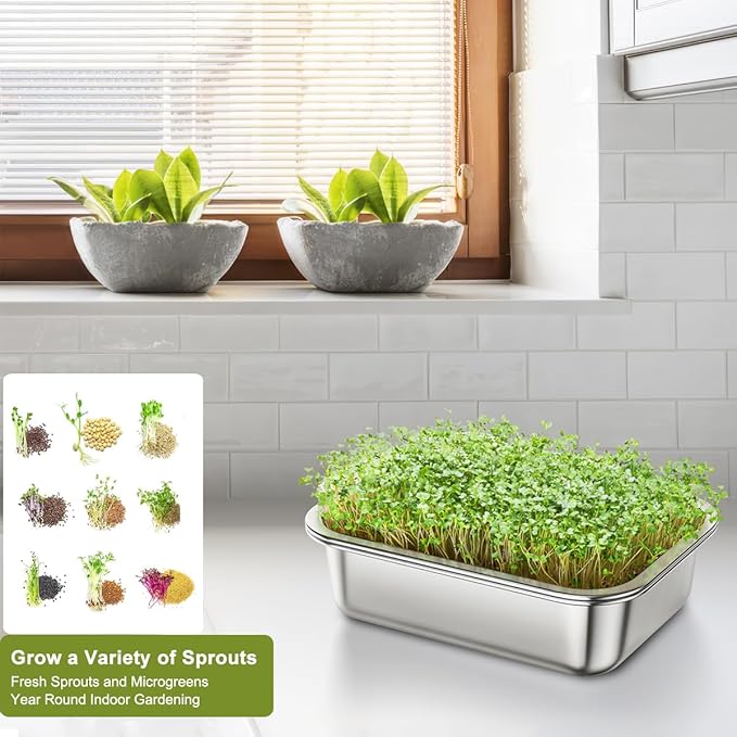 FANHAO 2-Pack Sprouting Tray Kit, Stainless Steel Soil-Free Cultivation Germination Tray, Healthy Wheatgrass Grower Sprouting Container Kit Nursery Tray for Indoors Plant Seedling