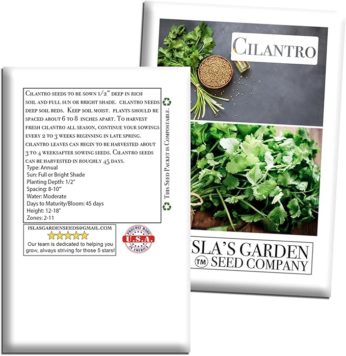 Cilantro Seeds (Coriandrum sativum) – 500+ Heirloom Non-GMO Seeds by Isla’s Garden Seeds, Fresh Aromatic Leaves, Fast Growing Culinary Herb, Also Known as Coriander, Ideal for Containers Garden Beds