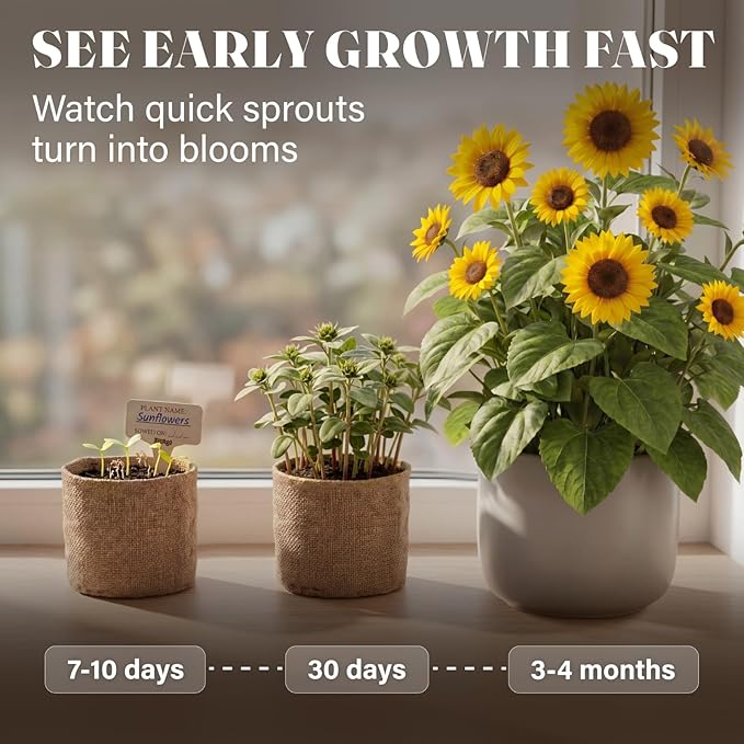 AVERGO Sunflower Seeds Growing Kit – Complete Seed and Plant Indoor & Outdoor Kit with Sunflower Seeds for Planting, Planter, Soil, Tools, Instructions – Ideal for Planting Sun Flowers at Home