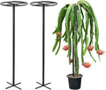 60-Inch Dragon Fruit Trellis - 2 Durable Metal Supports for Climbing Plants, Easy to Assemble Outdoor Garden Trellis for Dragon Fruit Enthusiasts