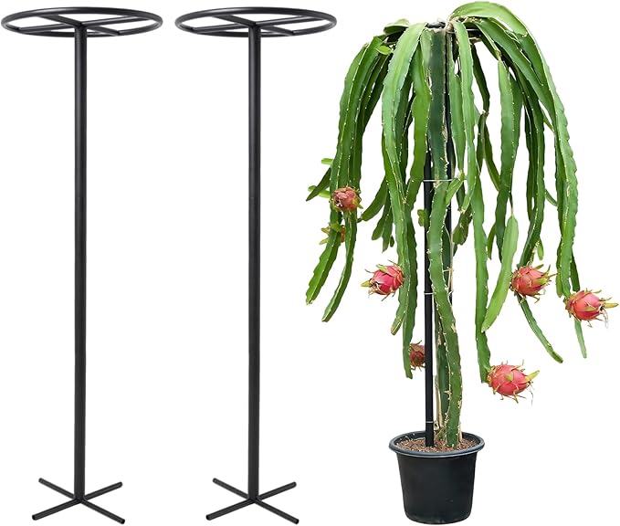 60-Inch Dragon Fruit Trellis - 2 Durable Metal Supports for Climbing Plants, Easy to Assemble Outdoor Garden Trellis for Dragon Fruit Enthusiasts