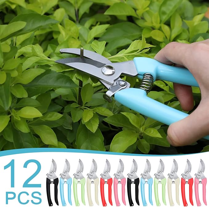 Lothee 12 Pcs Gardening Scissors Pruning Shears Stainless Steel Plant Scissors Flower Cutters for Stems Flower Clippers Garden Pruners for Cutting Flowers, Plants, Light Branches and Picking Fruits