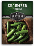 Muncher Cucumber Seeds for Planting | Burpless Variety with Smooth Skin for Snacking or Slicing – Survival Garden Seeds (1 Pack)