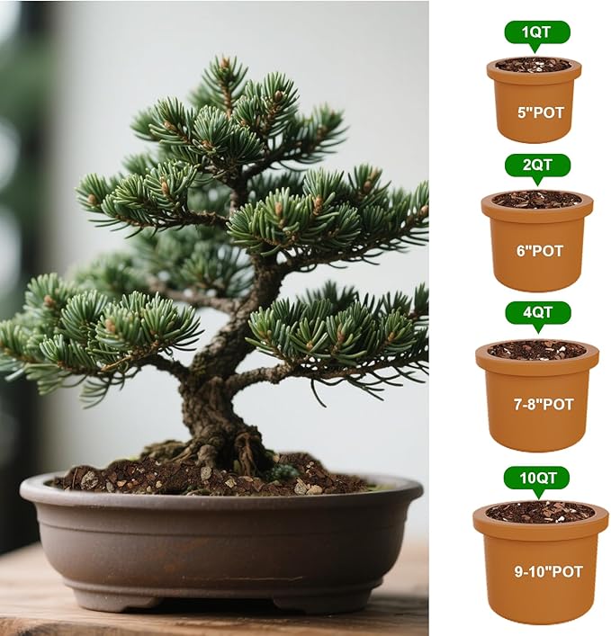 Doter Bonsai Soil Mix 1qt Ready to Use, Organic Bonsai Tree Soil Fits for Small Bonsai Pot, Suitable for Bonsai Seedling, Repotting, or Bonsai Starter Kit