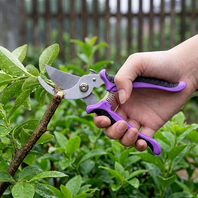 Lothee 9 Pcs Garden Shears Pruning Garden Clippers Bulk Bypass Pruner Heavy Duty for Gardening Hedge Plant Cutting Flower Scissors for Tree Trimming Bonsai Cutting Fruits Picking(Purple)