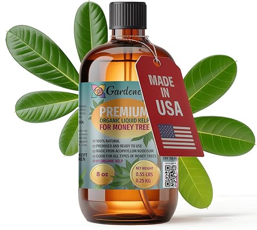 GARDENERA Professional Organic Liquid Kelp Spray for Money Tree Plants - 8 oz - Ready-to-Use Fully Organic Seaweed & Kelp Fertilizer Mist
