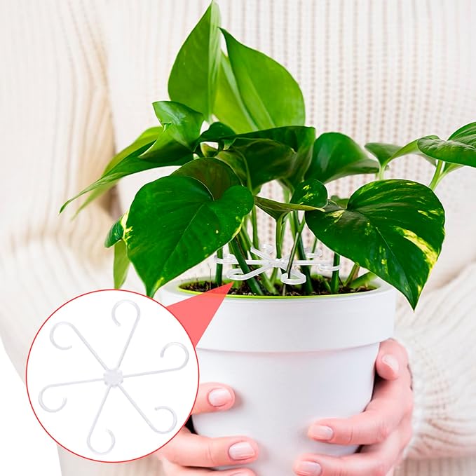 PAGOW 8 Pcs Climbing Houseplant Stem Supports, Clear Plastic Flower Plant Growth Stakes Trellis, Reusable Plant Stem Holders, Stem Hook Growth Accessories for Plant Garden (4 Sizes)