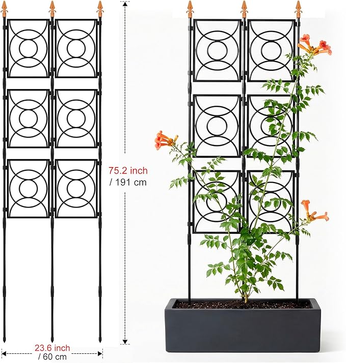 Trellis for Climbing Plants Outdoor, 24 Rifny Tall Garden Trellis Flower Rose Cucumber Trellis for Vines Pea Support, Wall Large Plant Trellis Fence with Plastic Screen Frame, 2 x 6.2 FT