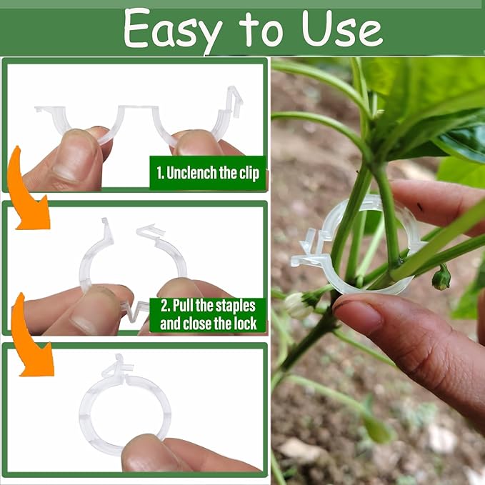 50pcs Plastic Support Clips - Tomato Clips for String Trellis, Grape Vine Clips for Garden Netting Climbing Plants, Secured Plastic Plant Clip for Fixing Stem and Vine (50, White)