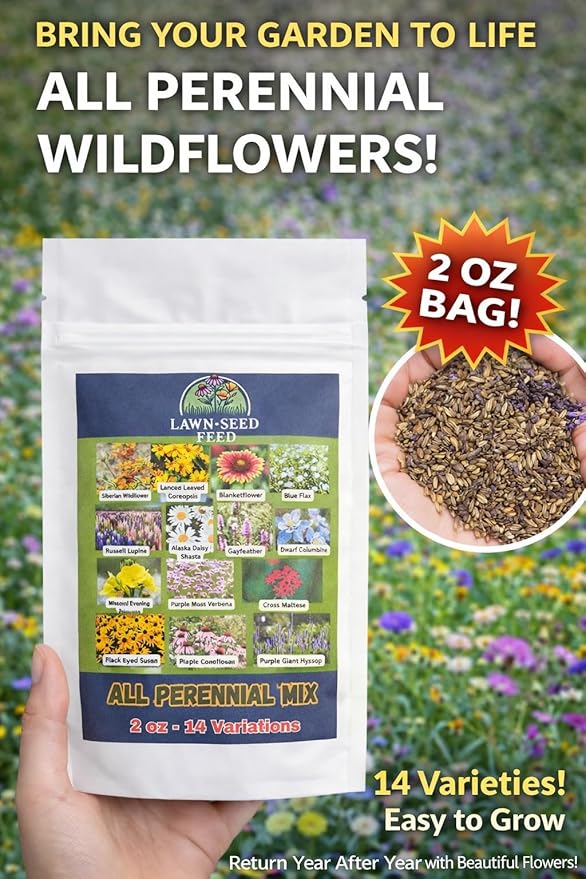 All Perennial Wildflower Seed Mix (2oz) Long-Blooming Flowers for Pollinators, Hardy Perennials for Gardens, Meadows & Landscapes