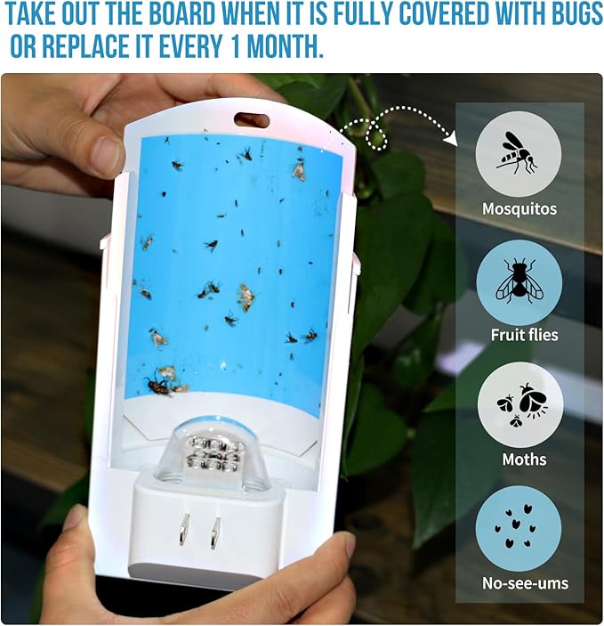 2 Pack Flying Insect Traps for Indoor, Plug-in Bug Catcher for Flies, Fruit Flies, Gnats, Moths, Noiseless for Home, 30-Day Glue Card Replaced (2 Devices & 8 Refills)