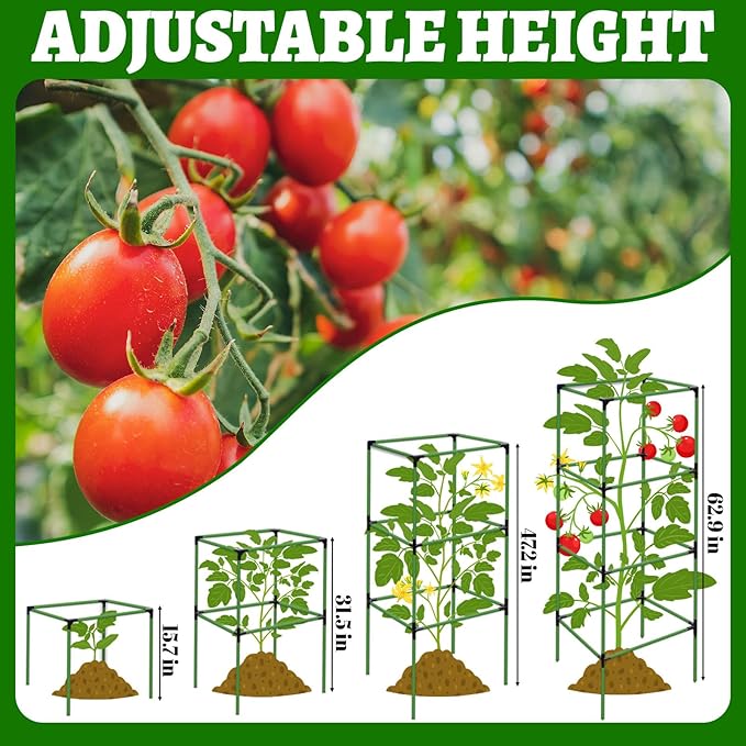 2 Pack Tomato Cages for Garden,Square Tomato Plant Cage Support Heavy Duty Pole 57*15.4*15.4 Inches,Steel Plant Tower Stakes,Cherry Tomato Trellis Cucumber for Climbing Vegetables Flowers Fruits-Green