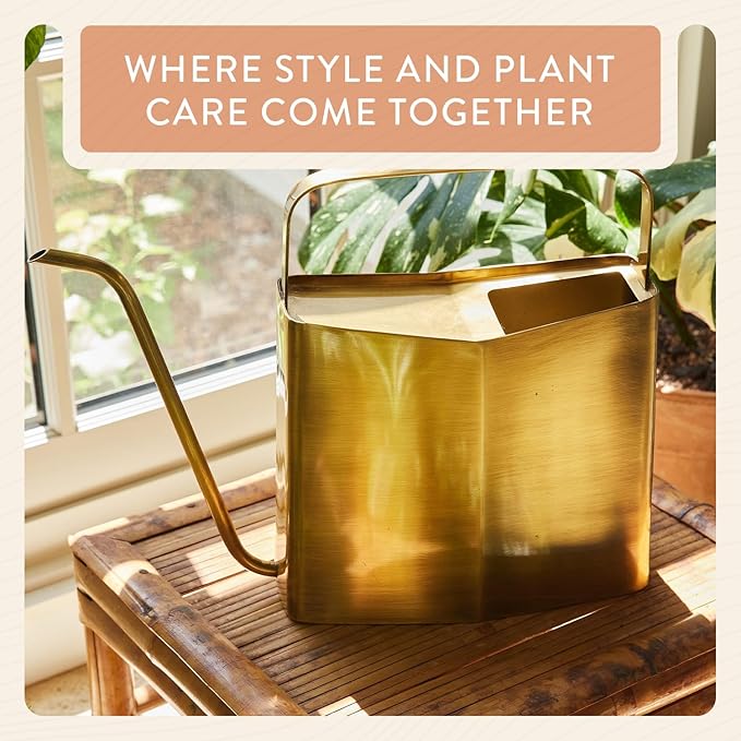 Modern Sprout Brass Finish Plant Watering Can - 3L Capacity - Long Spout Stainless Steel Vessel for Outdoor & Indoor Plants - Rust Resistant - Garden Accessory & Decorative Use - Gift for Mother's Day