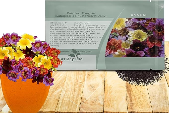 Outsidepride Painted Tongue Salpiglossis Seeds - 5000 Pcs. Annual, Versatile & Pollinator Friendly, Flower Seeds for Planting Vibrant Trumpet-Shaped Mixed Blooms for Garden Beds & Cut Flower Bouquets