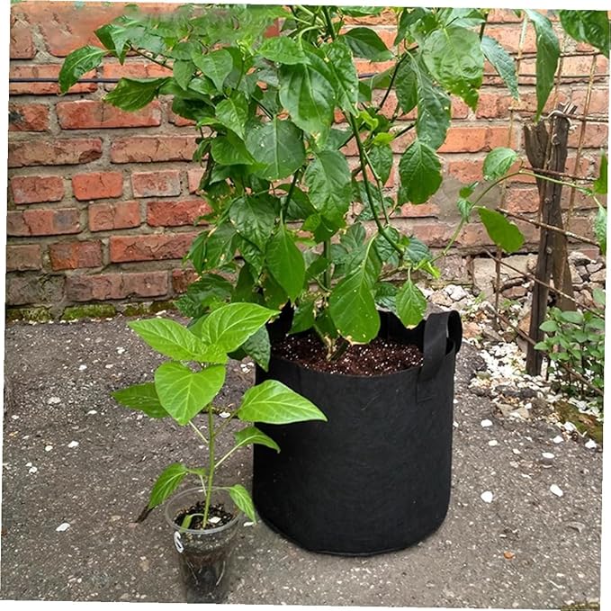 5pcs Non-Woven Plant Growing Bags with Handles, Breathable Flower Nursery Pots for Gardening and Seedling Cultivation, Thickened Black Fabric Grow Bags 25x20cm