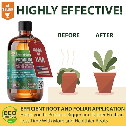 Citrus Tree Specific Organic Liquid Kelp Fertilizer by Gardenera - 32 oz - Maximize Citruses Growth and Fruit Development Naturally