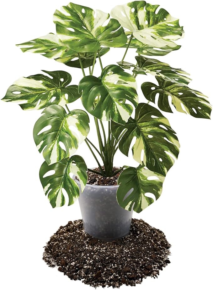 Gardenera Premium Aroid Potting Mix - 2 Quart - Soil Free Blend for Aroids - Growing Medium for House Plant