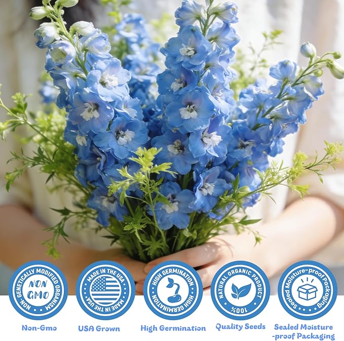 Delphinium Seeds 16000+ Mixed Color Larkspur Seeds for Planting Outdoors, Delphinium Plants Live 2026 Flower Seed to Plant Outside Non-GMO, Garden Wildflower (Delphinium)