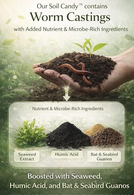 Worm Castings Tea Plant Juice with Bat and Seabird Guanos. Soil Candy, 8oz with Seaweed Extract and Humic Acid. Soil Restorer - Plant Fertilizer - Compost Starter (8oz)