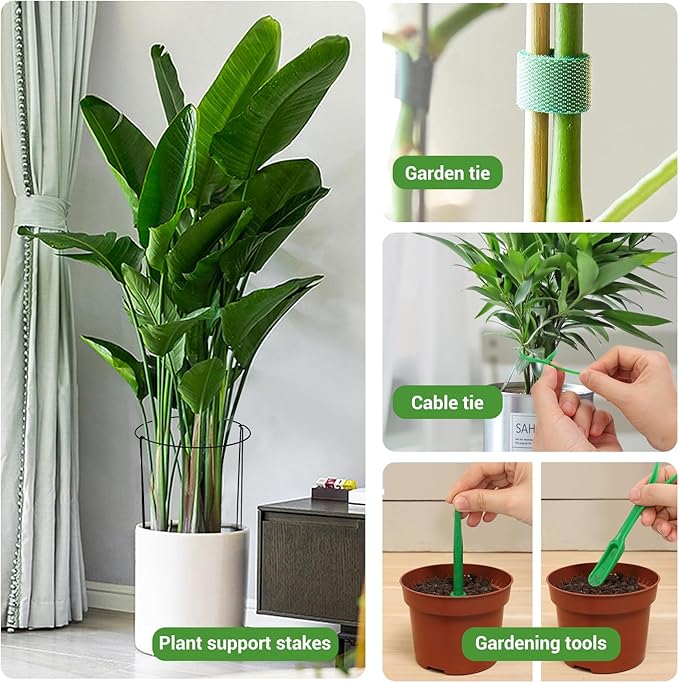 Kikhope Plant Support Stakes, 8 Pack Metal Garden Stakes Plant Cage, Half Round Peony Support Cage, Border Support, Plant Support Rings for Outdoor Indoor Plants, Vegetable, Flowers (9.8" W x 15.7" H)