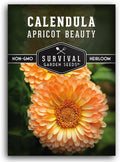 Apricot Beauty Calendula Seeds for Planting – Heirloom Flower with Soft Peach & Pastel Blooms – Edible Flowers, Medicinal Pot Marigold – Survival Garden Seeds (1 Pack)