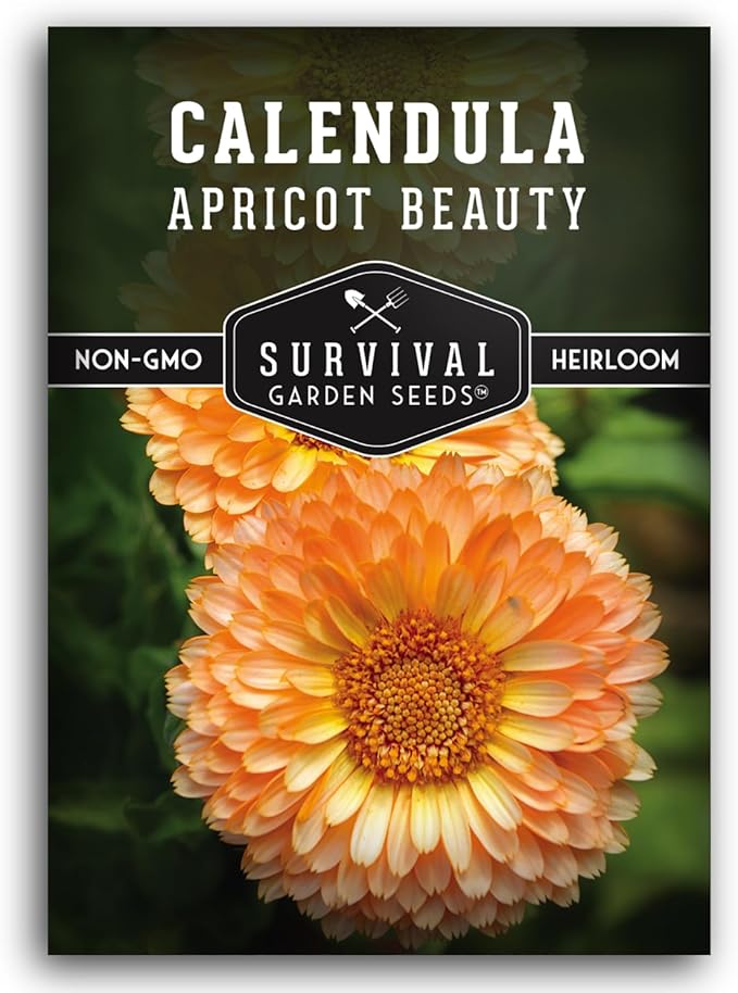 Apricot Beauty Calendula Seeds for Planting – Heirloom Flower with Soft Peach & Pastel Blooms – Edible Flowers, Medicinal Pot Marigold – Survival Garden Seeds (1 Pack)