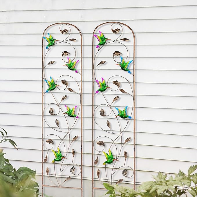 2 Pack Metal Garden Trellis with Colorful Hummingbird 60 Inch High Outdoor Decoration Arched Fence Trellis for Climbing Plants for Patio, Lawn, Yard, Backyard, Wall Brackets