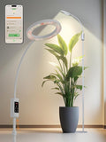 Smart Grow Lights for Indoor Plants,24W Plant Light with Auto-Timer,Full Spectrum LED Grow Light, Adjustable Height & Stepless Dimming,Plant Assistant Suitable for Most Plants (White, 24W)