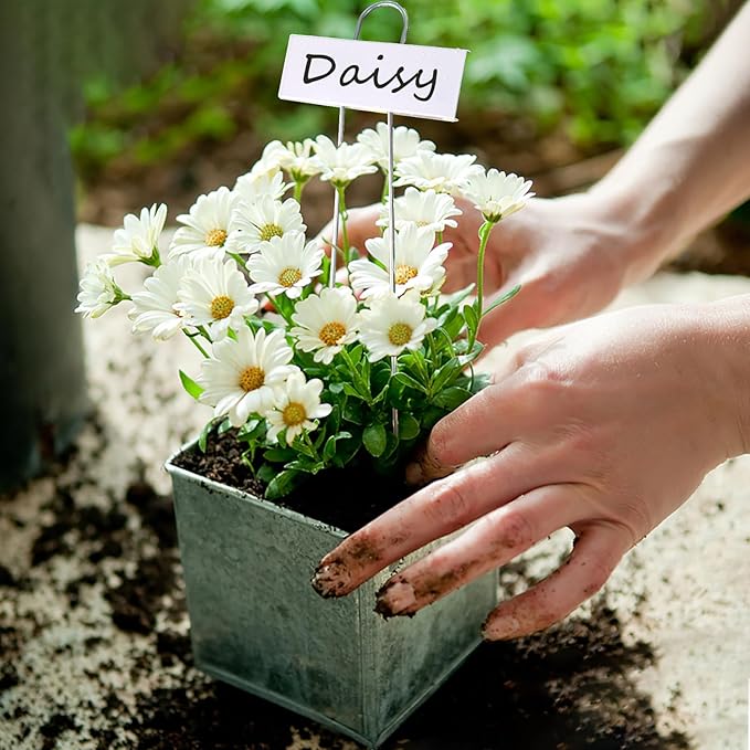 Plant Labels Metal Garden Plant Markers Plant Marking Plant Labeling Weatherproof Garden Stake Tag Plant Tags with Pen for Seedling Nursery Flower Herb Vegetable Greenhouse(30 Pack) (White)