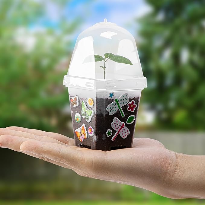 EBaokuup 10 Pack Clear Plant Nursery Pots with Humidity Dome-3" Reusable Plastic Gardening Pot with Printed Labels-Small Seed Starting Pots for Seedlings Vegetables Succulents Cuttings