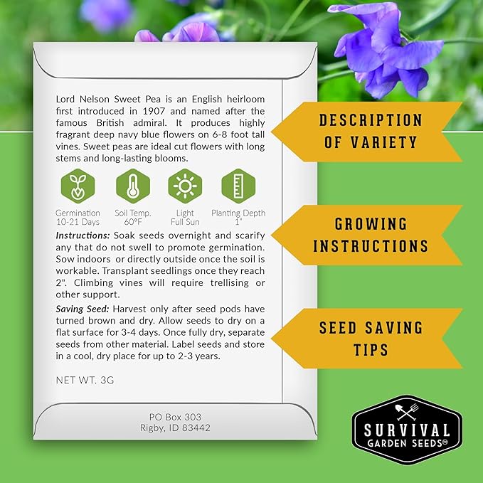Blue Sweet Pea Seeds for Planting – Lord Nelson Heirloom Variety with Fragrant, Deep Blue Flowers on Tall Climbing Vines for Outdoor Gardens – Survival Garden Seeds (1 Pack)