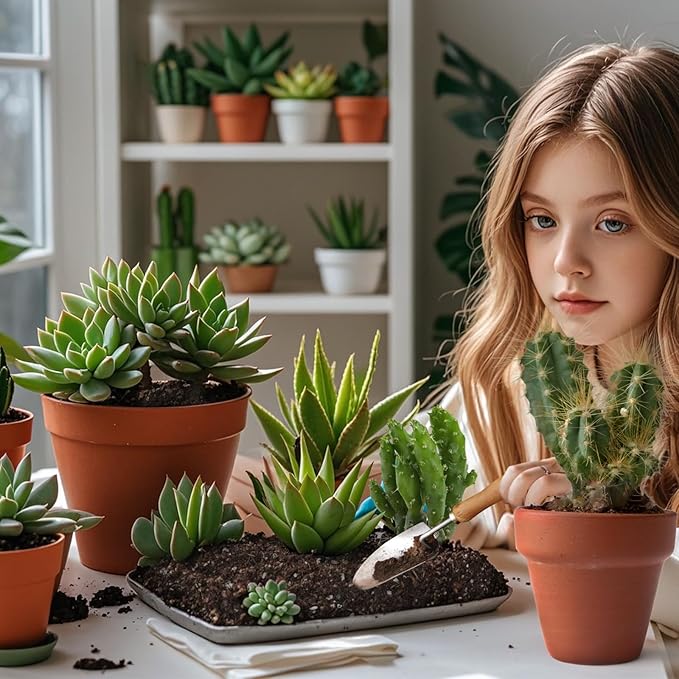 Cactus & Succulent Soil Mix 1qt, Chunky Well-Draining Soil for Indoor Plants - Spike & Bloom
