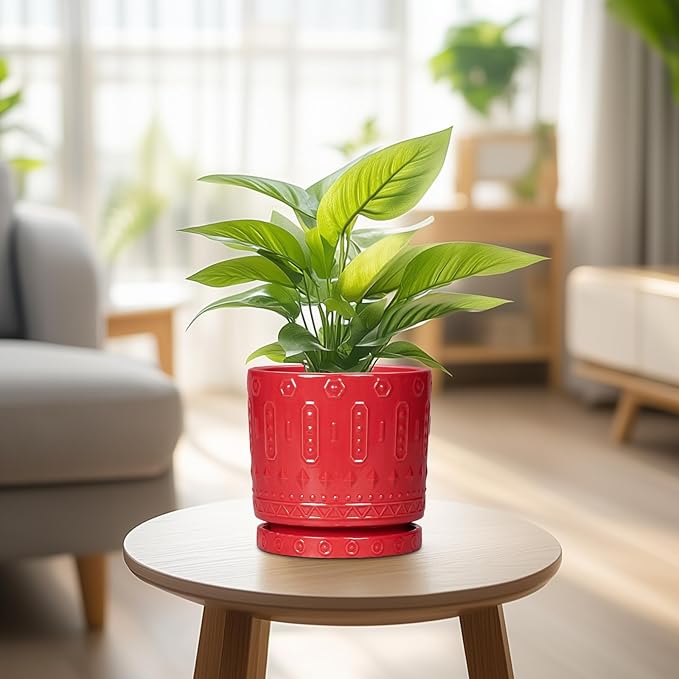 Eightpot 6 Inch Plant Pot, Ceramic Flower Pots for Indoor Outdoor Plants, Round Pots for Plants with Drainage Hole and Tray, Boho Decorative Planter, Kitchen Decor, Gardening Gifts for Women, Red