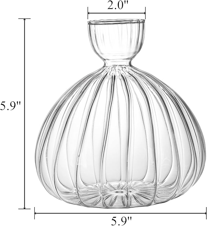 Avocado Seed Sprout Starter Vase Planter Pot, Avocado Tree Growing Vase Glass Container, Clear Striped Glass Propagation Jars for Hydroponics Plants Home Office Decoration