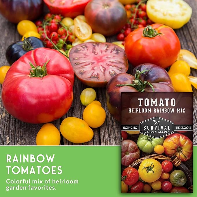 Heirloom Rainbow Mix Tomato Seeds for Planting - Colorful Heirloom Tomato Seed Variety Pack, High Yield Garden Tomatoes, Non-GMO Open Pollinated - Survival Garden Seeds (3 Pack)