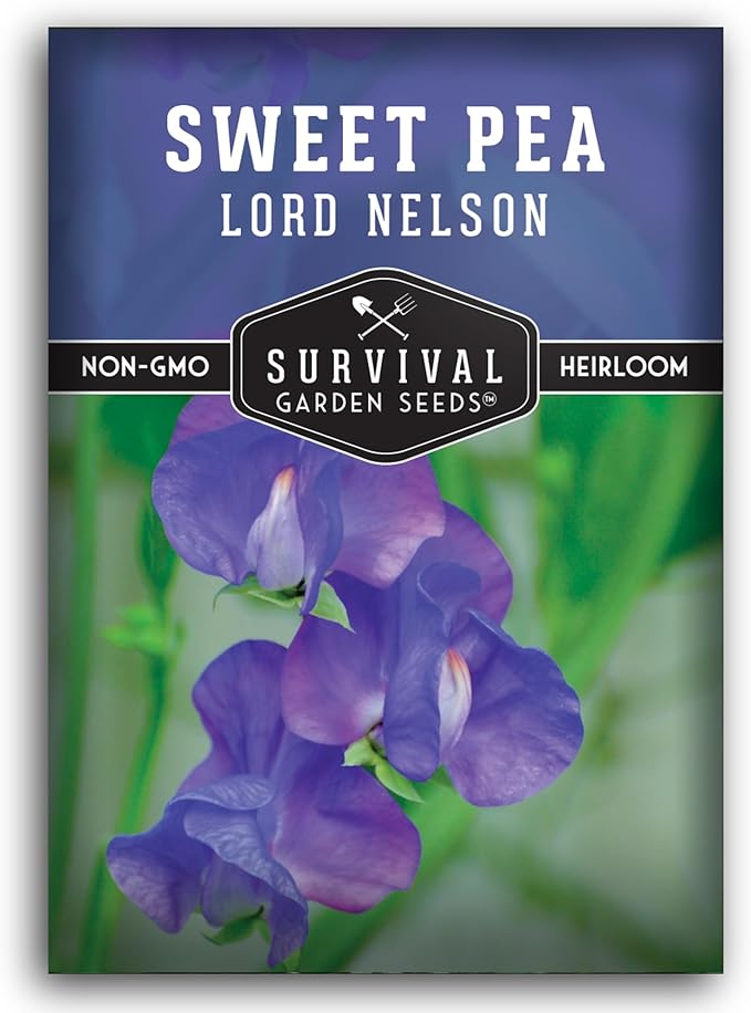 Blue Sweet Pea Seeds for Planting – Lord Nelson Heirloom Variety with Fragrant, Deep Blue Flowers on Tall Climbing Vines for Outdoor Gardens – Survival Garden Seeds (1 Pack)