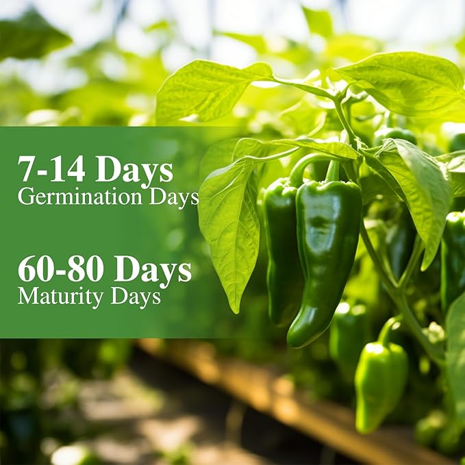 Jalapeno Pepper Seeds for Planting, Non-GMO Heirloom Vegetable Seeds for Outdoor Home Garden, Easy to Grow, Perfect for Salsa & Hot Sauce