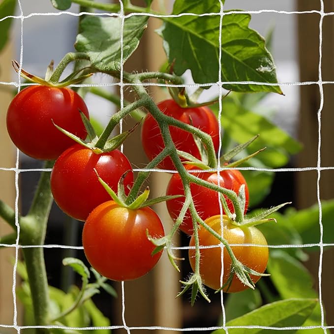 Tcamp Garden Trellis Netting for Plants (5Ft x15Ft, 3.5" Square Mesh Ployester, 2Pack)